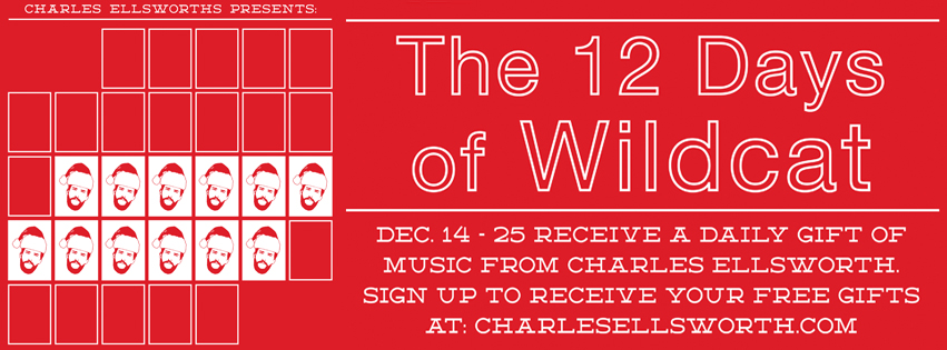 The 12 Days of Wildcat